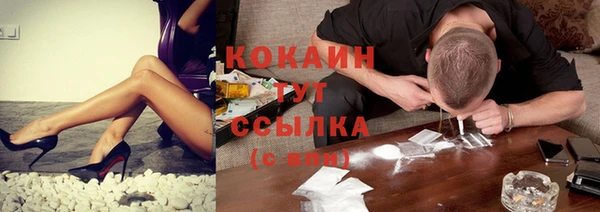 гашик Новозыбков