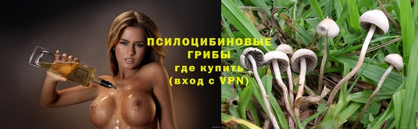 гашик Новозыбков