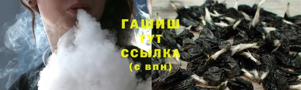 гашик Новозыбков
