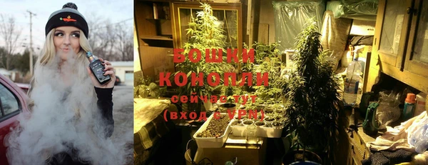 гашик Новозыбков