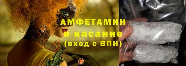 гашик Новозыбков