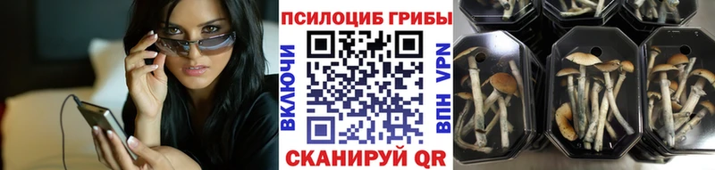 Псилоцибиновые грибы ЛСД  Крымск 