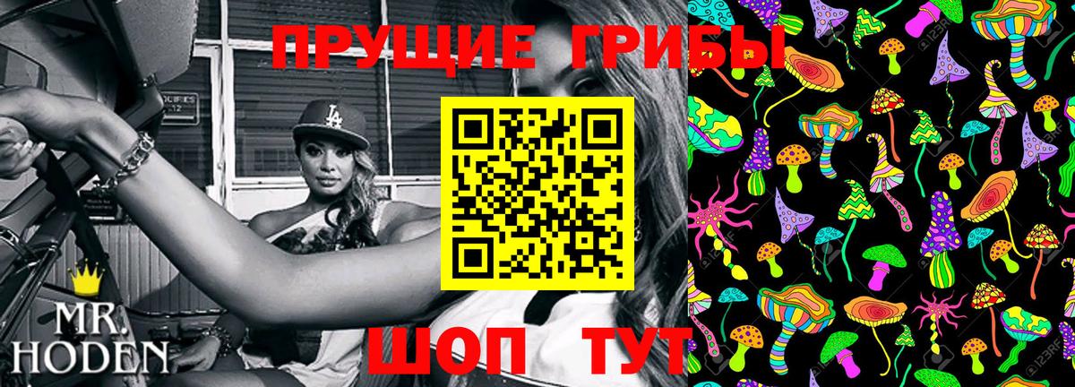 Галлюциногенные грибы GOLDEN TEACHER  Вход с VPN  Крымск 